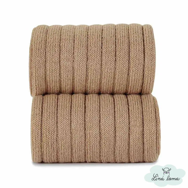 condor hneda velbloudi