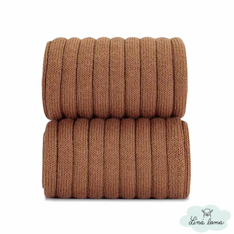 condor skoricova hneda