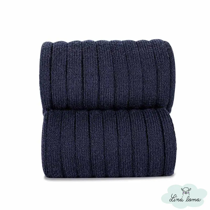 condor namornicka modra